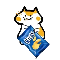 .pokuchips.